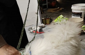 ˭С߶ˣиɫĴӣԼʮǰ ...