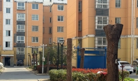 ����ô�ֵ���������ն����