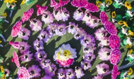 ഺصʮСѧﾶ˶ʢĻ