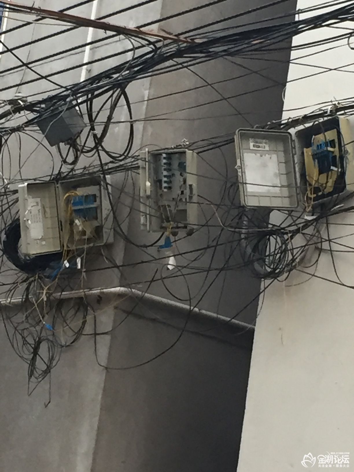 1585809351875145839.jpg