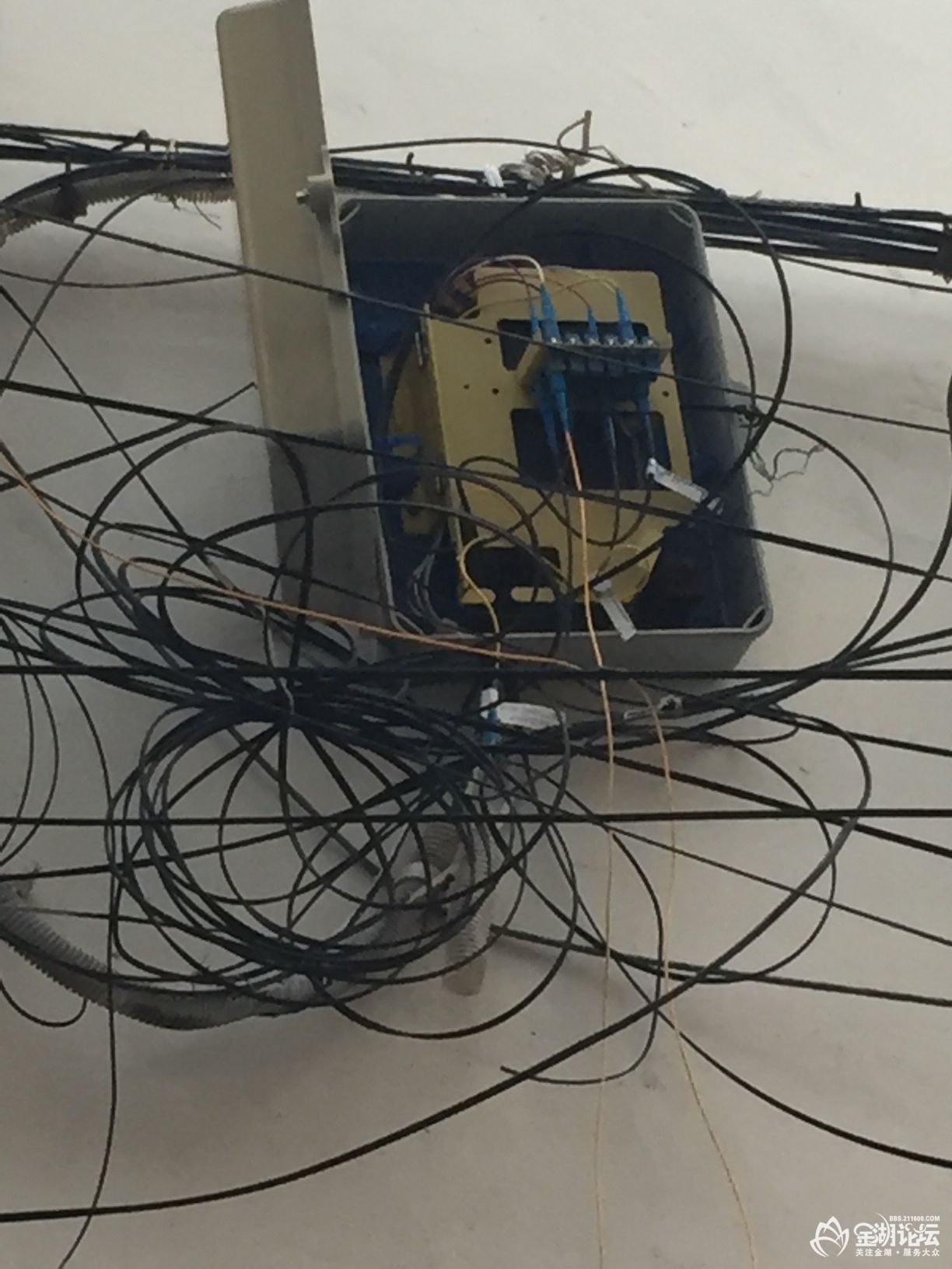 1585809353686971735.jpg