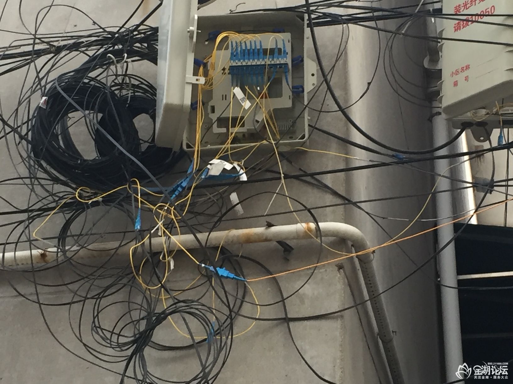 1585809354614058477.jpg