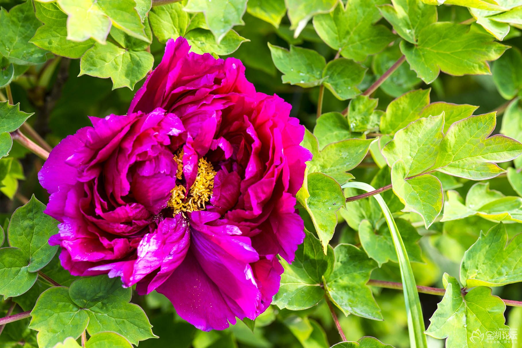 DSC_9835.jpg