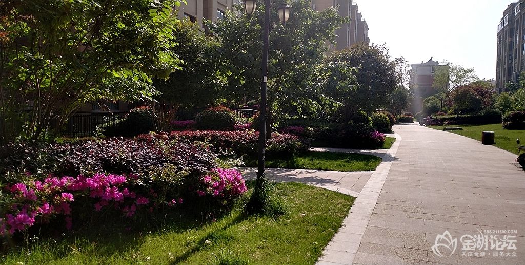 IMG_20200510_155731_.jpg