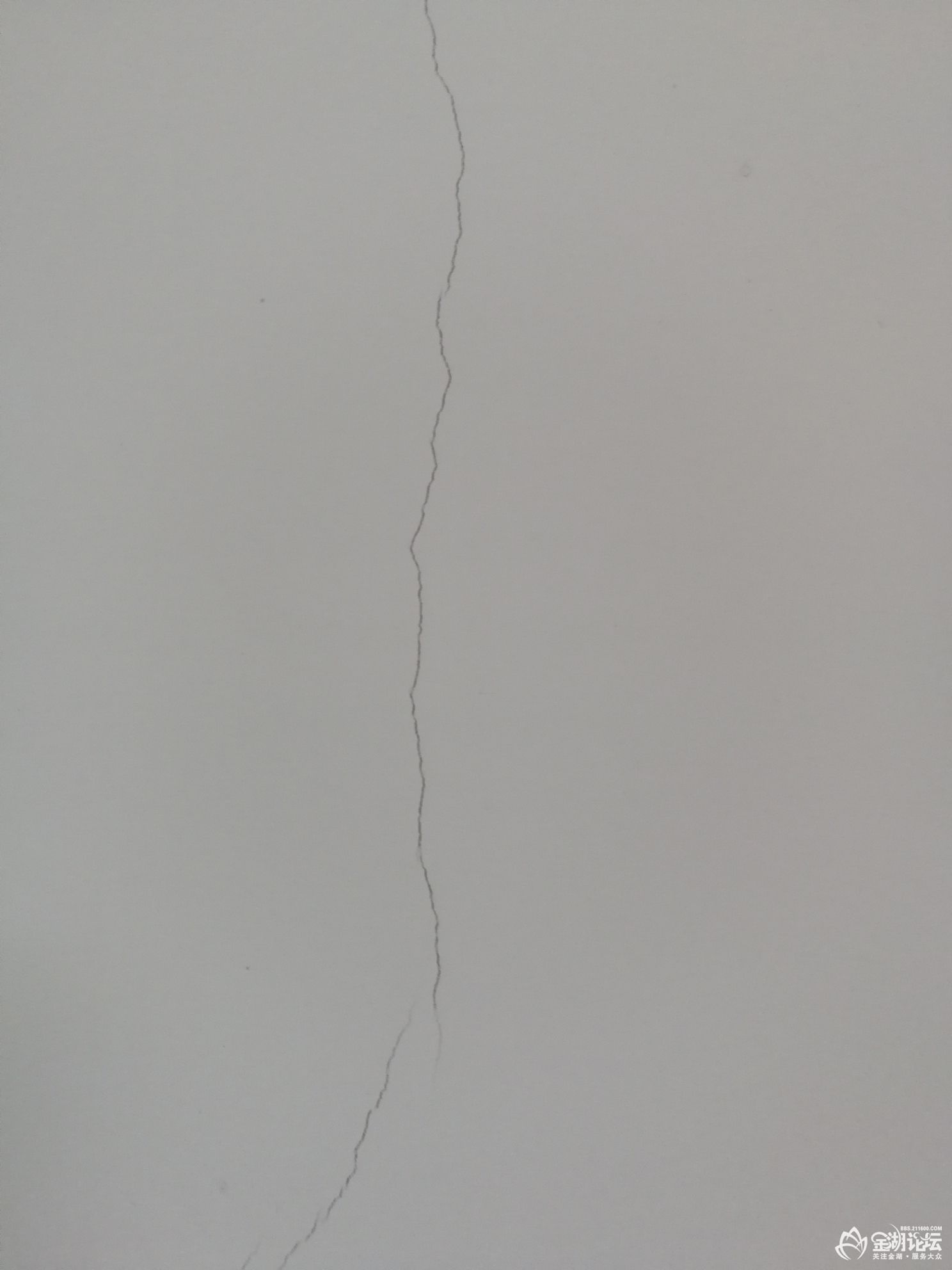 1592748612368762_536.jpg