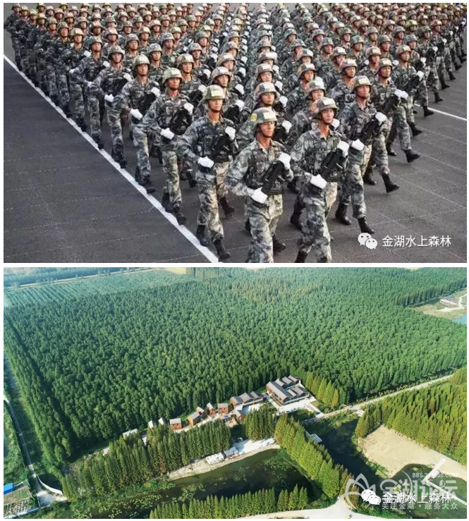΢Žͼ_20200731151232.png