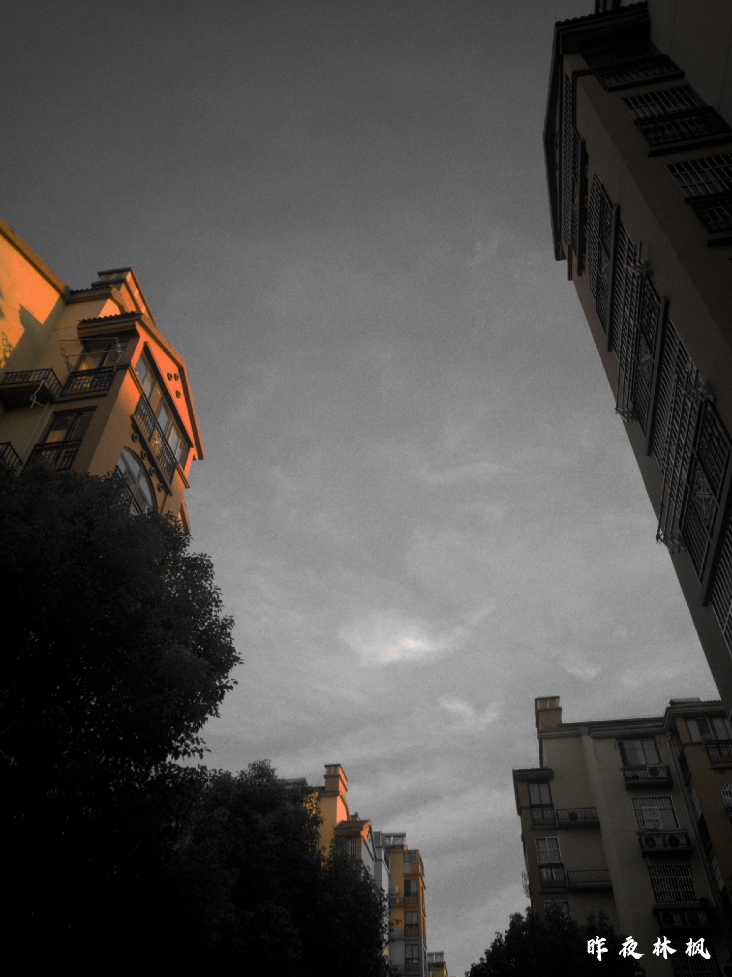΢ͼƬ_20200817141804.jpg