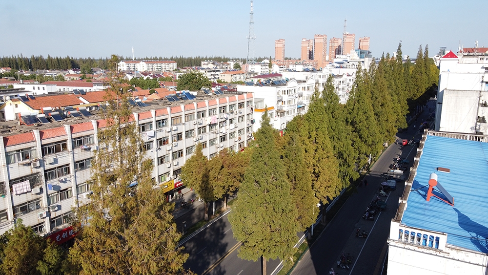 DJI_01651.jpg