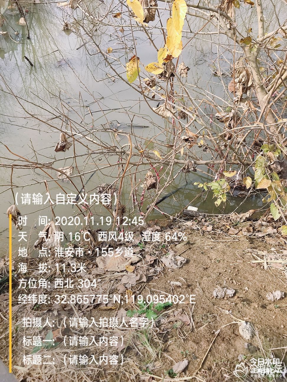 1605761307820276658.jpg