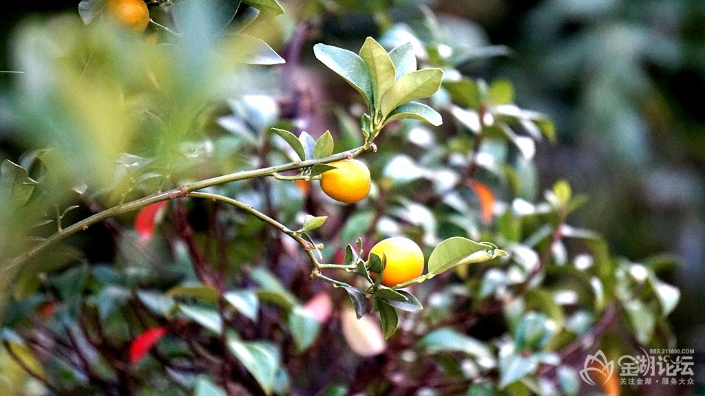 DSC06543_.jpg