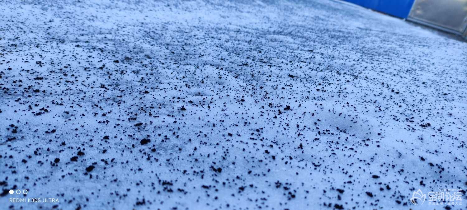 IMG_20201230_085326.jpg