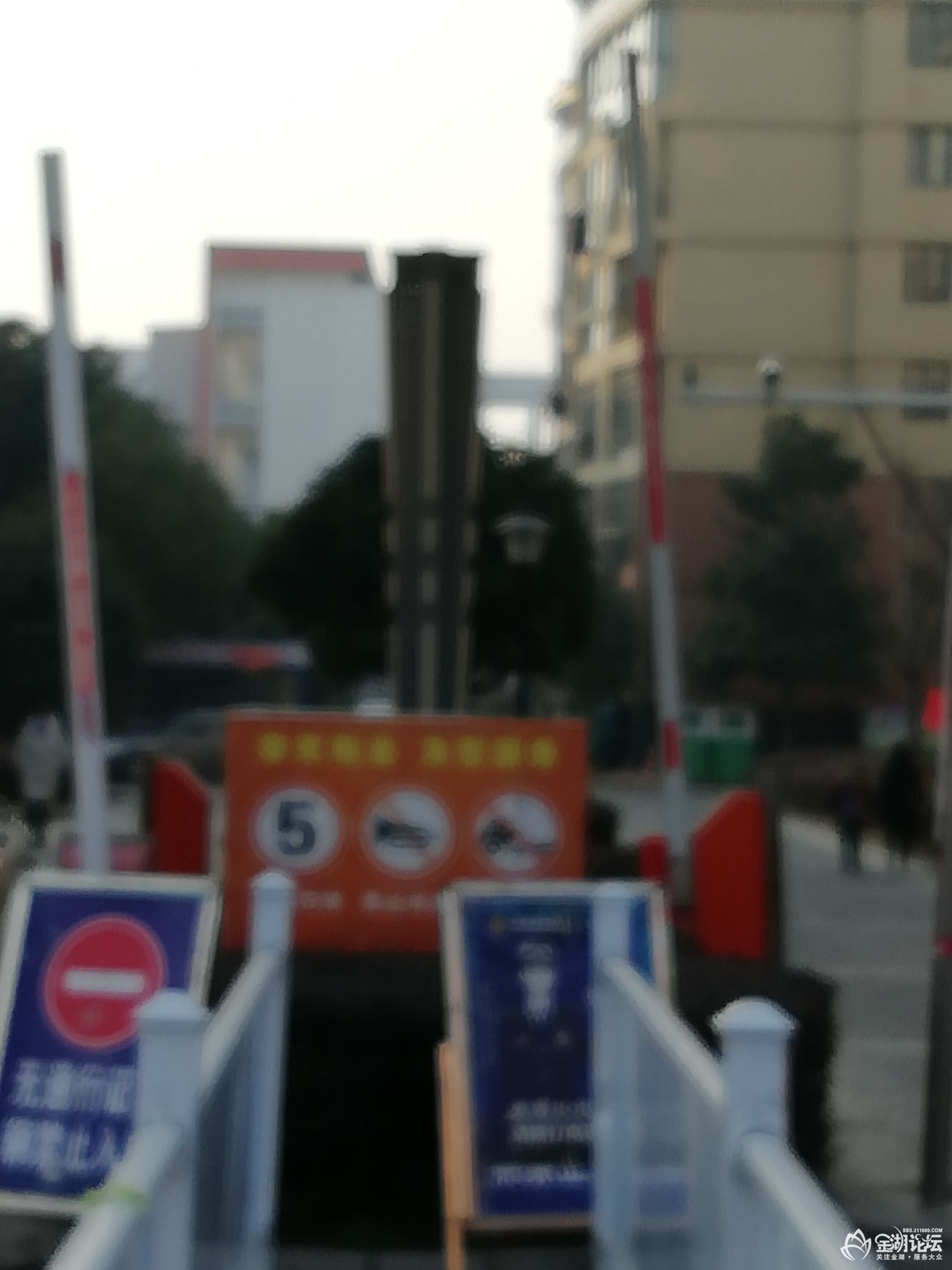 1610077566455950_837.jpg