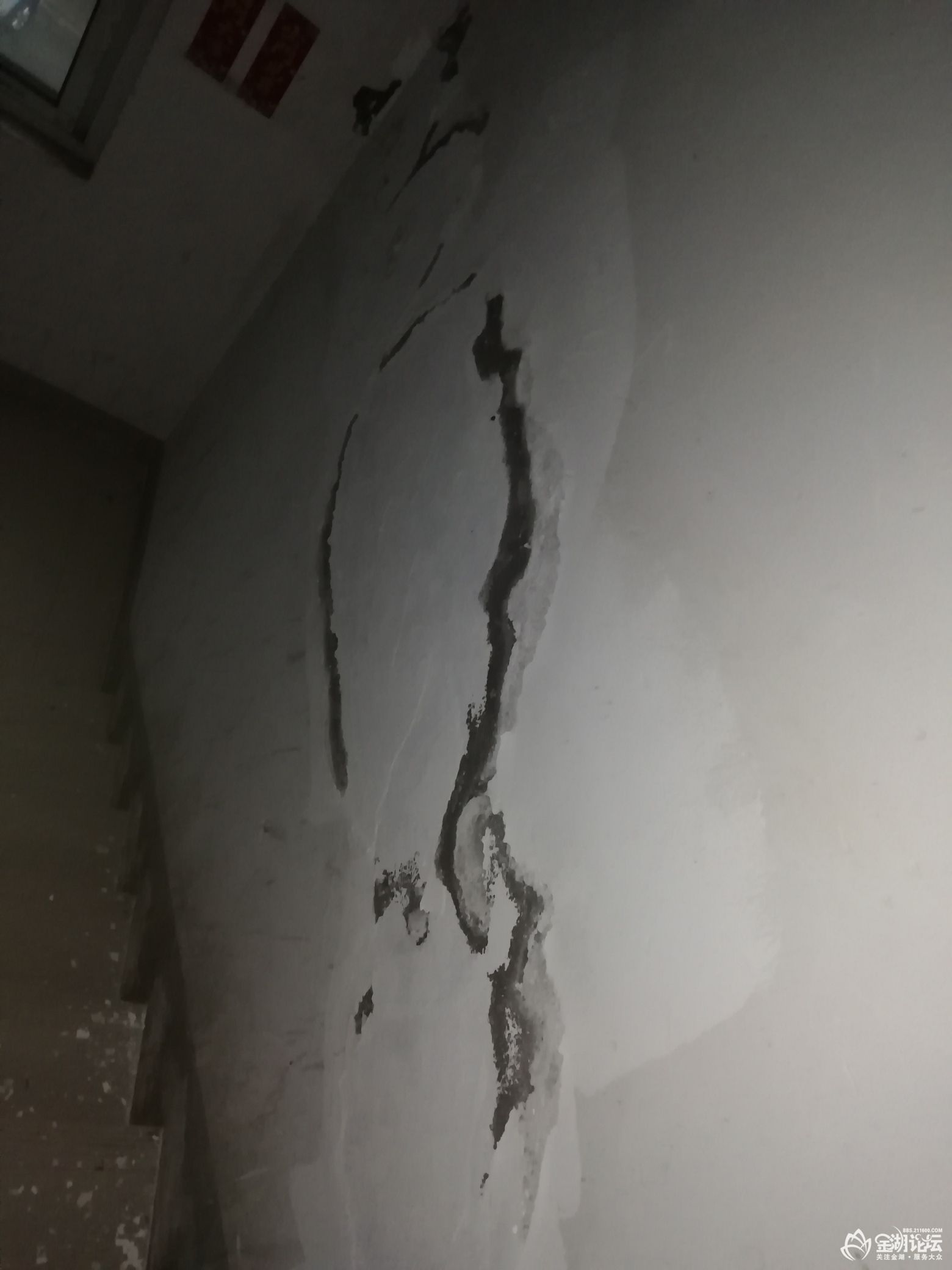 1610078581891570_148.jpg
