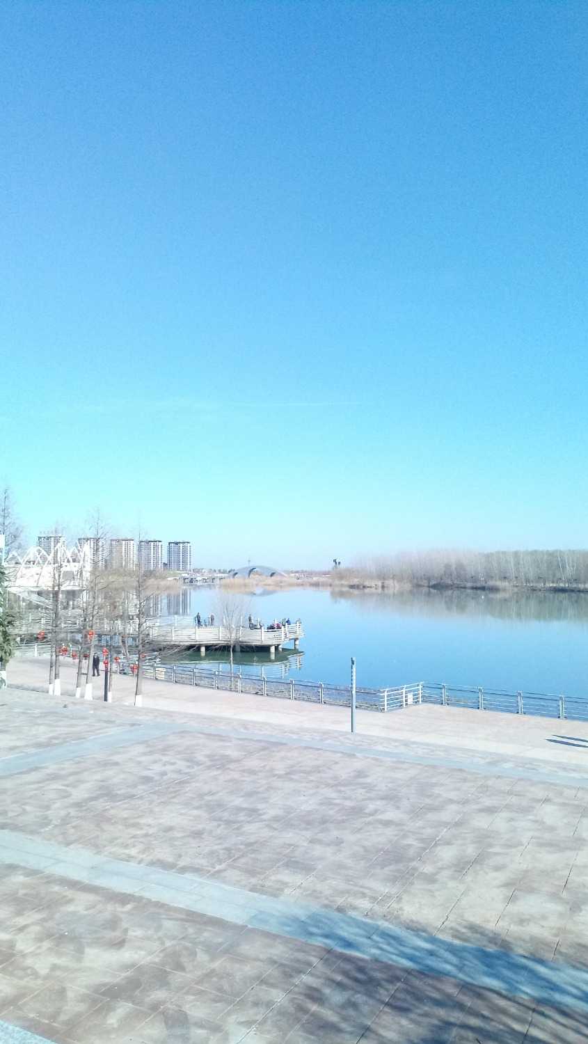 IMG_20210218_092624.jpg