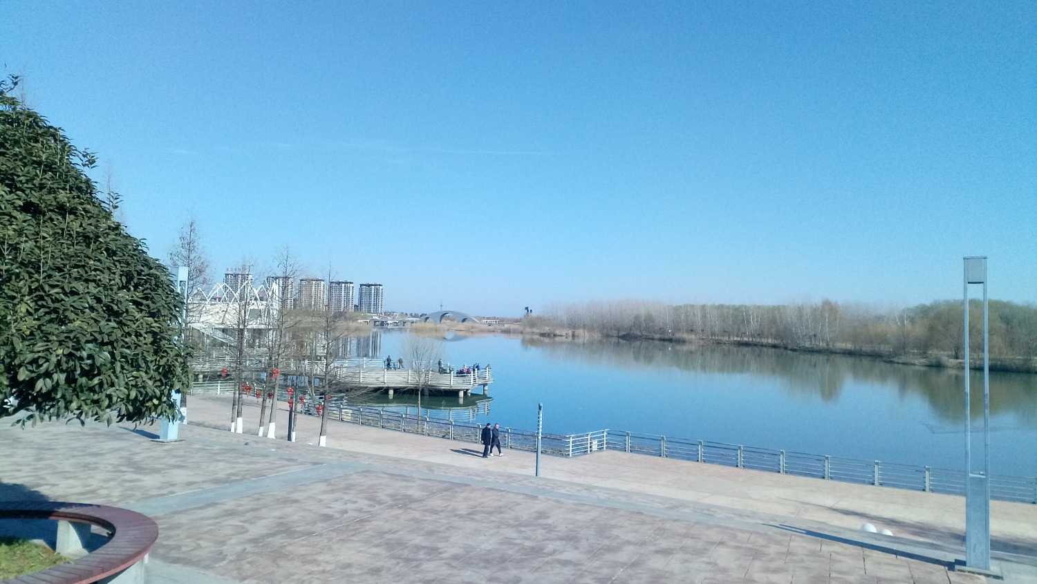 IMG_20210218_092614.jpg