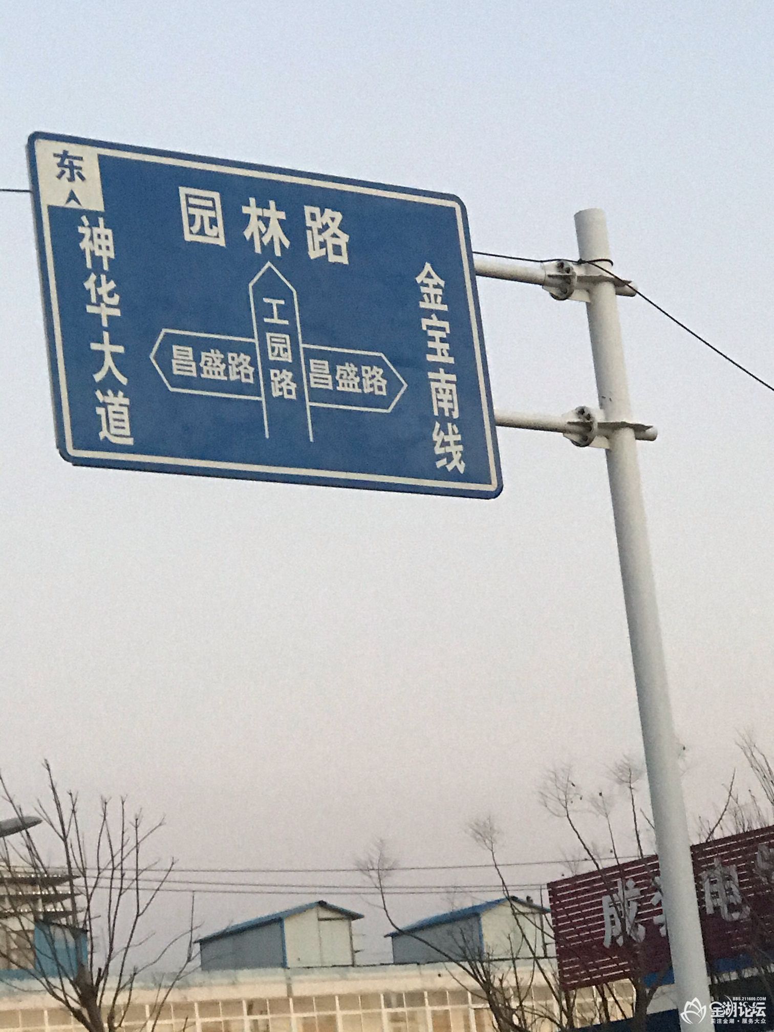 1613906467282292236.jpg